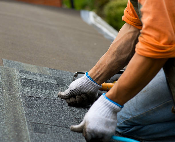 Best Roof Gutter Cleaning  in Stonegate, CO