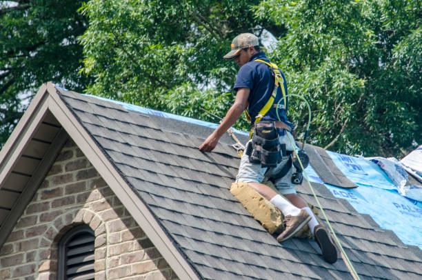Professional Roofing Contractor in Stonegate, CO